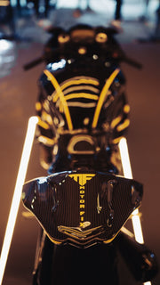 MotorFix BMW S1000RR 2020-2024 carbon Overtail